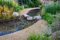 Pierres de gué sur un ruisseau, Cercidiphyllum japonicum avec Prunus lusitanica et Panicum virgatum 'Northwind' - Zoflora: beauté naturelle exceptionnelle, RHS Hampton Court Palace Flower Show 2016