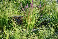 Plantation et gabion dans le WWT Working Wetlands Garden. Hampton Court Flower Show 2016 - Concepteur: Jeni Cairn, commanditaire: Wildfowl et Wetland Trust soutenu par le programme HSBC Water