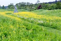 Prairie de fleurs sauvages avec renoncules des prés - Ranunculus acris dans le parc paysager, avec sculpture de tipi en bois sur un côté de la voie fauchée.