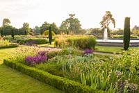 Juste après l'aube dans le jardin italien de Trentham Gardens, Staffordshire - conçu par Tom Stuart-Smith. La plantation comprend des Salvias, Stipa gigantea, des ifs irlandais fastigés et Knautia macedonica