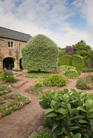 Une vue sur le jardin physique avec un point focal d'un Pyrus salicifolia coupé 'Pendula' et Veratrum viride en face - juin, Herterton House, Hartington, Northumberland, UK