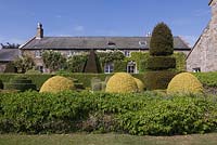 L'avant de Herterton House avec son jardin formel de formes topiaires coupées et Hedera Helix Arborescens - juin, Herterton House, Hartington, Northumberland, UK