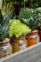 Une boîte en bois avec des succulentes mélangées dans des pots en grès colorés avec des étiquettes de fruits de reproduction vintage