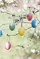 Oeufs de Pâques suspendus à des branches