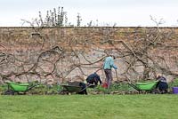 Trois jardiniers d'affilée travaillant sur le long parterre de fleurs de Waterperry Garden.