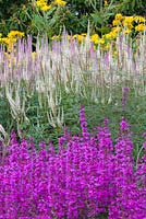 Un détail de plantation dans le labyrinthe floral à Trentham Gardens, Staffordshire, conçu par Piet Oudolf. Photographié en été, il présente des Veronicastrums et Lythrums