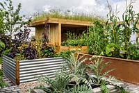 Cultiver des légumes dans des plates-bandes surélevées. Jardin communautaire Health for Life. Best In Show: OR. BBC Gardeners World Live 2016. Concepteur: Owen Morgan. RHS Flower Show Birmingham