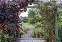 Little Ash Garden, Fenny Bridge, Devon. Vue à travers l'arc en bois planté de Vitis vinifera 'Purpurea', Fuchsia 'Insulinde' en pot en dessous