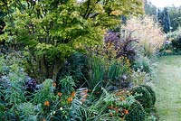 Little Ash Garden, Fenny Bridge, Devon. Parterres automnaux profonds et colorés