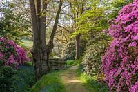 Jardin High Beeches Sussex