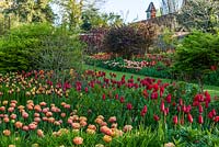 Plantation massive de tulipes au manoir Pashley