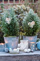 Conifères givrés en pots avec décoration coeur et bougies