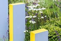 Leucanthemum superbum 'TE Killin', salvia et Pitttosporum 'Nana' derrière des pierres jaunes et grises dans le Scotty's Little Soldiers Garden, RHS Hampton Court Palace Flower Show 2015. Designer: Graeme Third