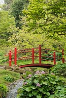 Pont de style japonais rouge sur un ruisseau avec Bergenia et Magnolia en arrière-plan