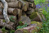 Pile de grumes coupées avec Badger Cafe sign