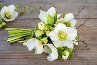 Bouquet d'hellébores blanches et vertes sur fond de bois