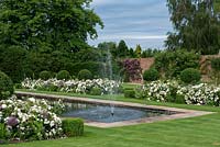 Un jardin formel avec une piscine et une fontaine réfléchissantes entre des plates-bandes bordées de plantes plantées de Rosa 'White Flower Carpet' et de feuilles persistantes de Prunus lucitanica.