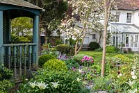 Un jardin clos de ville avec un kiosque en bois, un parterre de tulipes et une boîte mélangés, et un vieil magnolia.