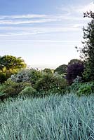 Vue sur le parterre de Leymus arenarius dans la campagne environnante. Rosa 'Felicia '. Veddw House Garden, Monmouthshire, Pays de Galles. Mai. Jardin conçu et créé par Anne Wareham et Charles Hawes