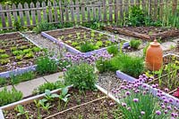 Jardin potager et herbier au printemps. Ciboulette, oignons, ail, laitue, bourrache.