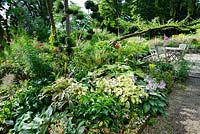 Terrasse avec des sièges à côté de la maison à côté d'un parterre plein de plantes à feuillage aimant l'ombre, y compris les fougères, les hostas, le Podophyllum 'Spotty Dotty', les hellébores et les rodgersias.