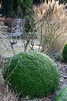 Sphères boîte coupée bordent la pelouse circulaire dans le jardin arrière sur un matin glacial à Windy Ridge, Little Wenlock, Shropshire, Royaume-Uni