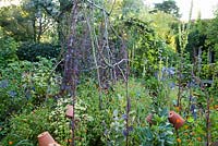 Potager informel avec des pots en terre cuite et des cadres de plantes rustiques. Jardin: Rustling End Cottage, Hertfordshire. Propriétaires: M. et Mme Wise