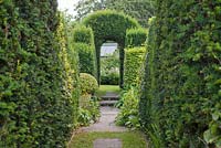 Parcours à travers la couverture d'ifs. Jardin: Rustling End Cottage, Hertfordshire. Propriétaires: M. et Mme Wise