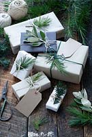 Beaucoup de cadeaux enveloppés de papier brun et blanc et attachés avec de la ficelle, avec des étiquettes-cadeaux et de la ficelle. Décoré de sapin, d'if et de feuillage argenté, avec des ciseaux