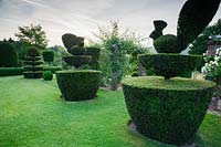 Le jardin topiaire présente des ifs coupés en paons et cygnes. Felley Priory, Underwood, Notts, Royaume-Uni