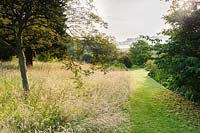 Longues herbes de prairie. Felley Priory, Underwood, Notts, Royaume-Uni