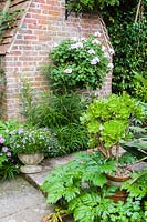 Des pots de plantes tendres, notamment des plantes succulentes et des annuelles à fleurs, décorent un chemin à côté de la maison bordée de Lobelia laxiflora.