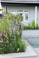 Parterre de fleurs surélevé avec Eryngium 'Big Blue', Lavandula 'Edelweiss', Salvia 'Caridonna' et Agapanthus 'Navy Blue' - The Urban Rain Garden, RHS Hampton Court Palace Flower Show 2017