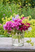 Arrangement floral d'été en pot de verre avec Alchemilla mollis, Dianthus barbartus, pois de senteur et fragaria barbartus