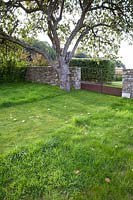 Portail en fer rouillé, mur d'enceinte en pierres sèches, vieux pommier avec des pommes exceptionnelles dans un jardin de campagne