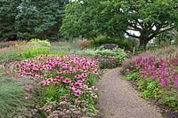 Echinacea purpurea, Astilbe chinensis 'Purpurlanze', Sedum Matrona, Monarda, Persicara, Eupatorium purpureum - Millennium Garden - Pensthorpe Gardens, Norfolk - fin juillet 2017