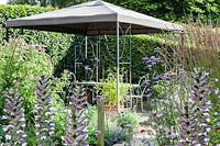 Le Gazebo. Acanthus spinosus, Knautia macedonica, Verbena bonariensis, Calamagrostis x acitiflora 'Karl Foerster '. Hill House, Glascoed, Monmouthshire, Wales.