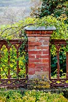 Rose 'Alberic Barbier' poussant sur le mur. Govone. Projet de jardin par Anna Regge. Piémont, Italie.