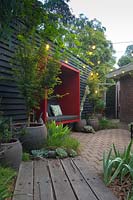 Une passerelle en bois menant à une zone pavée avec un mur en bois peint en noir avec une assise rouge attachée. Une collection de grands pots avec un érable et diverses plantes succulentes, un parterre de fleurs d'herbe indigène australienne, Lomandra 'Tanika '.