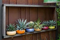 Un cadre en bois monté sur un mur en acier corten contenant une collection de pots émaillés aux couleurs vives a planté des plantes succulentes et un cactus.