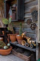 Mur et étagère en bois rustique avec une collection de cactus en pot, une pelle jouet et des éphémères de la vieille ferme.