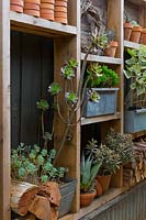 Étagères de rangement et de rangement en bois attachées à une clôture, avec des collections de pots en terre cuite, plantes succulentes, boîtes en métal et bois de chauffage.