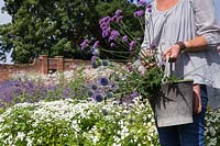 Sheree King portant un seau avec Verbena bonariensis et Echinops pour des compositions florales