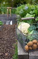 Légumes récoltés à la maison, y compris, pommes de terre, courgettes, chou-fleur et chou