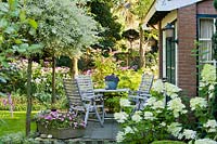 Espace détente sur un patio. Hydrangea paniculata Phantom, Salix. Conception: Laura Dingemans