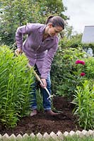 Ajouter du fumier dans le parterre de fleurs avec une fourchette pour améliorer le sol