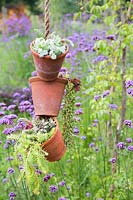 Pots en terre cuite suspendus avec plantes succulentes