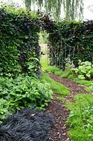Jardin ombragé avec couvre-sol de camomille et chemin d'écorce conduisant à l'arche en haie avec porte métallique