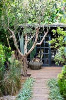 Bureau dans jardin arrière avec panier à bûches et olivier. Hackney garden Londres