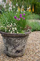 Grand pot dans un jardin de gravier planté de mélange balnéaire de Gaura, Erigeron, Armeria, Fuchsia et Stipa